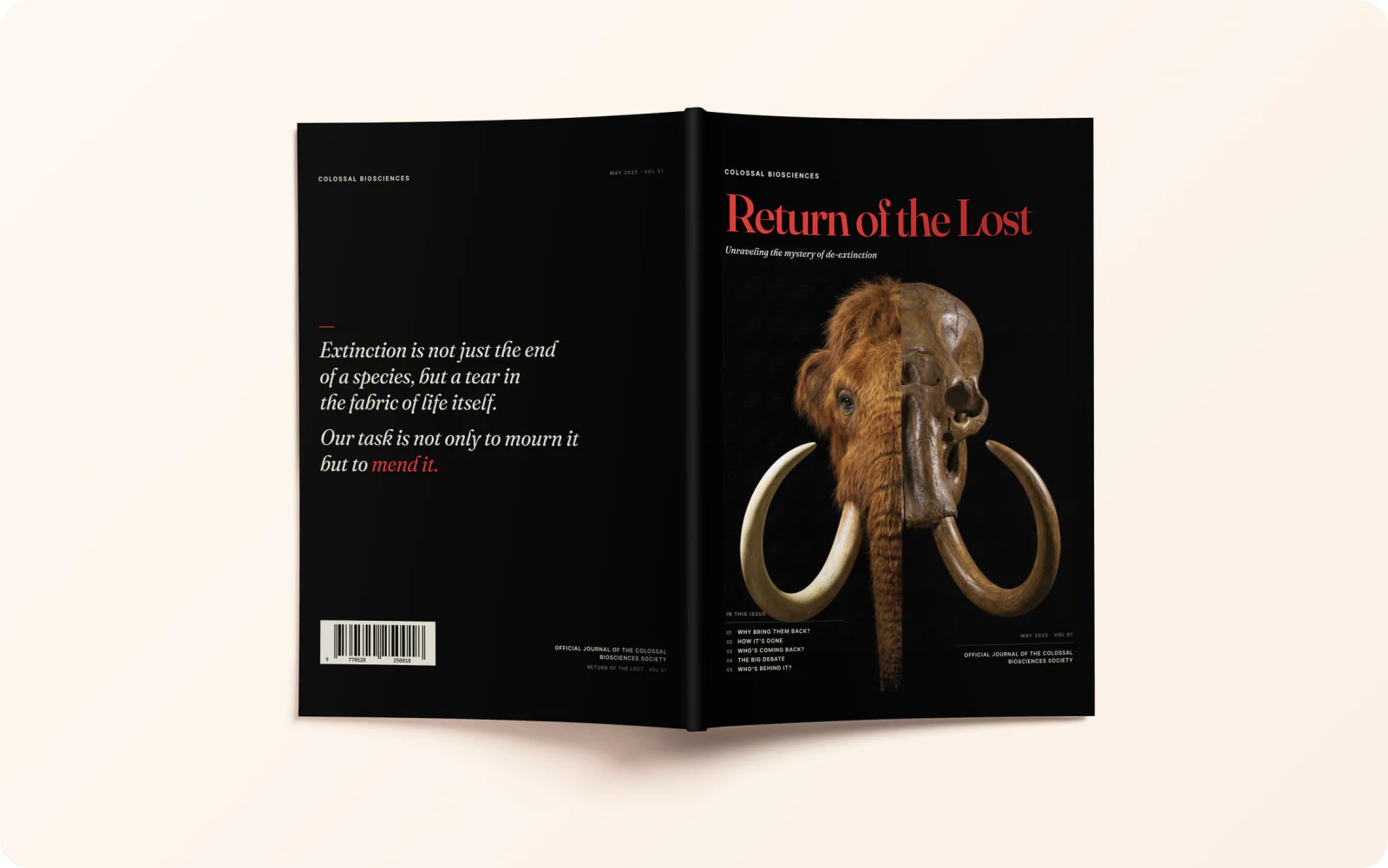 The Return of the Lost cover laid flat, back and front, on a cream ground.