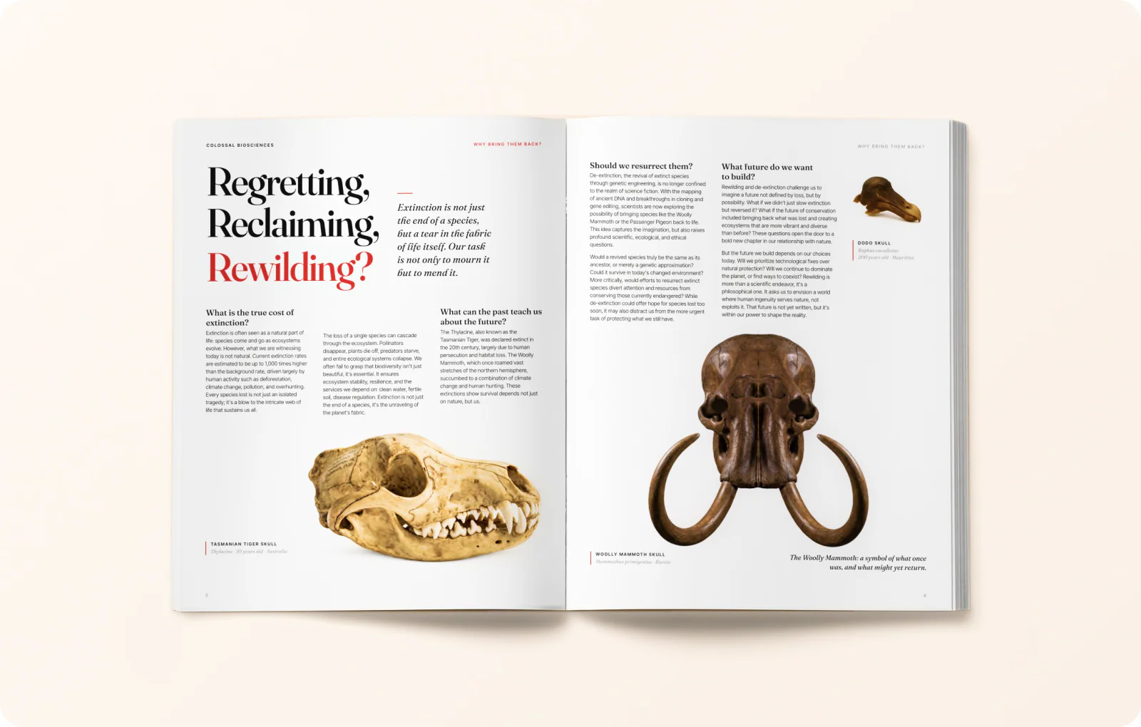 Magazine spread 2: Regretting, Reclaiming, Rewilding? with skulls.