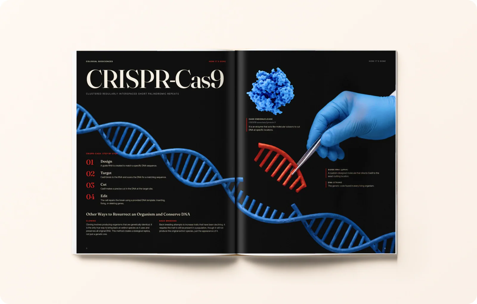 Magazine spread 3: CRISPR-Cas9 on a black page.