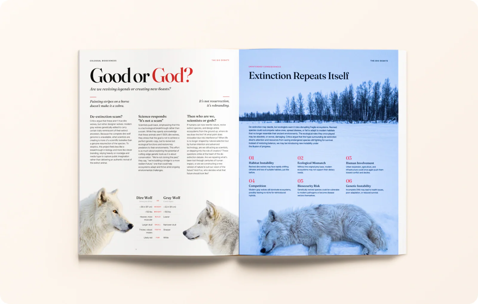 Magazine spread 5: Good or God?.