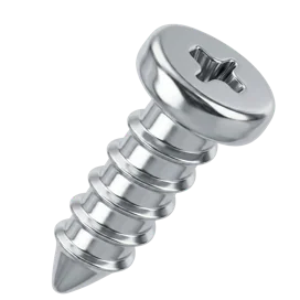 A metal Phillips screw.